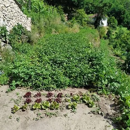 Casa Da Quintinha - * اركوس دي فالديفيز