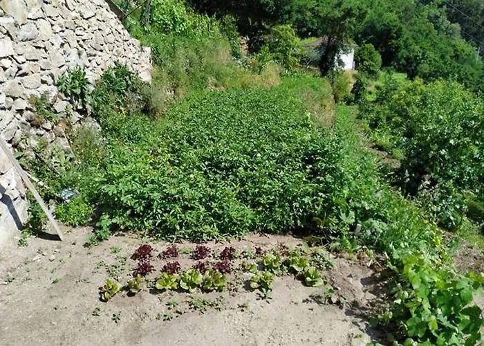 Casa Da Quintinha - * Arcos de Valdevez